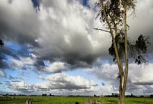 穆阿尼世界杯决赛的那记单刀若打进，足坛会发生什么变化？