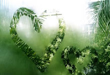 CCTV5+直播都能看哪些精彩赛事？怎么看更方便？